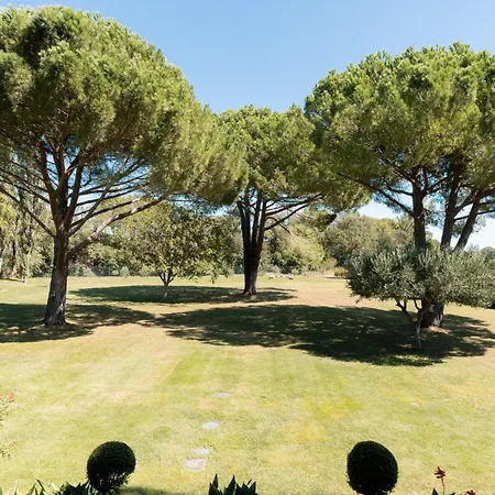 La Mouline Sublime Domaine Privatif Avec Piscine A *