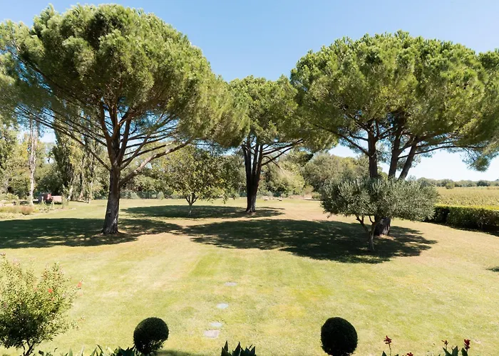 La Mouline Sublime Domaine Privatif Avec Piscine A *
